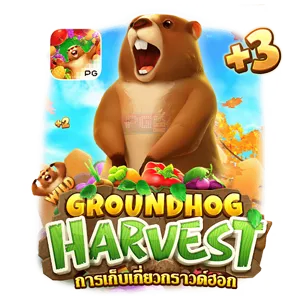 Groundhog-Harvest